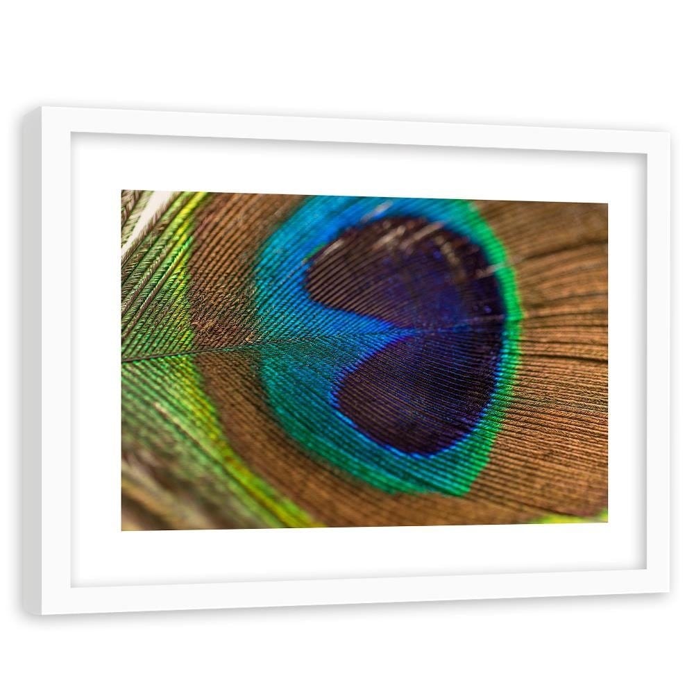 Glezna baltā rāmī - Peacocks Eye Home Trends DECO