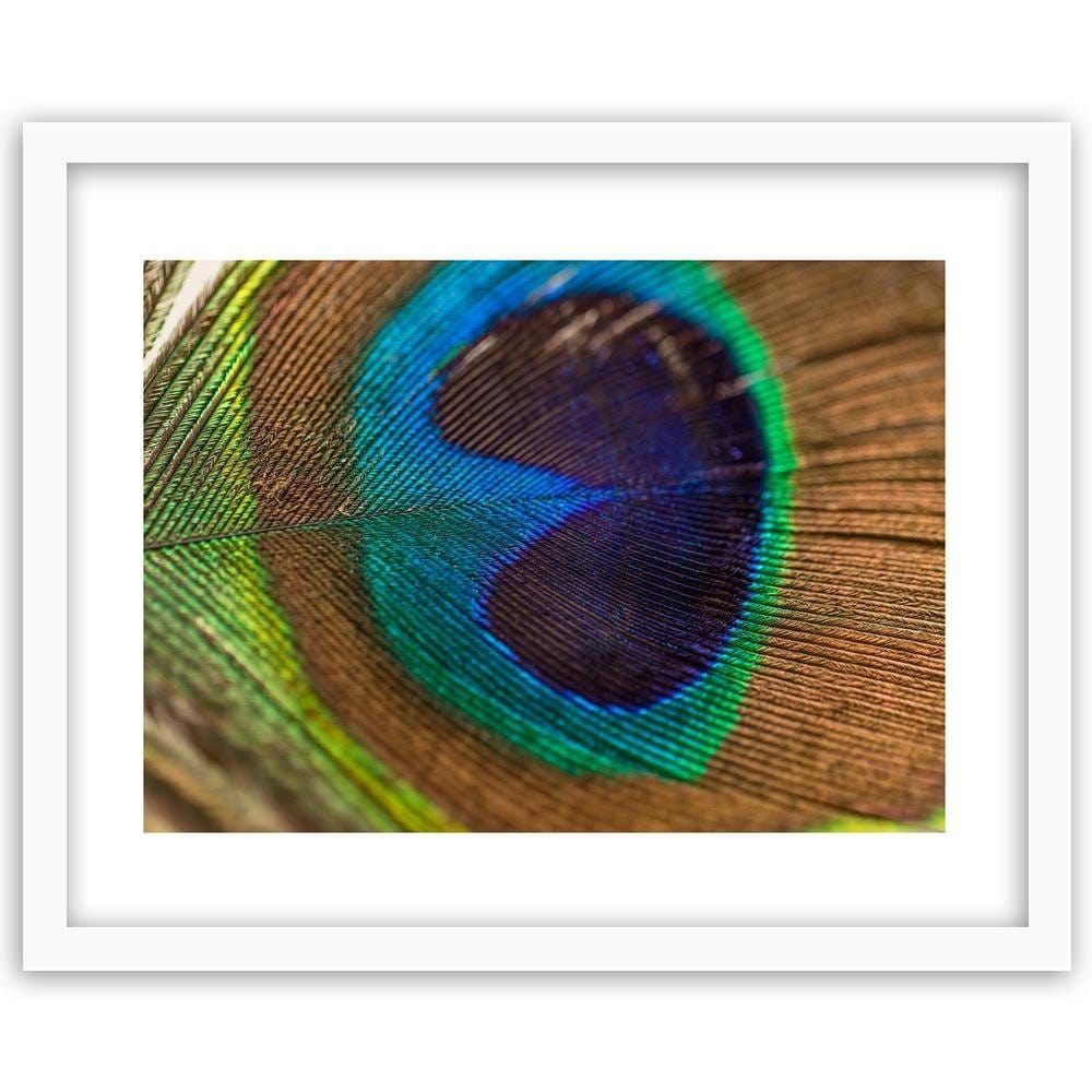 Glezna baltā rāmī - Peacocks Eye Home Trends DECO