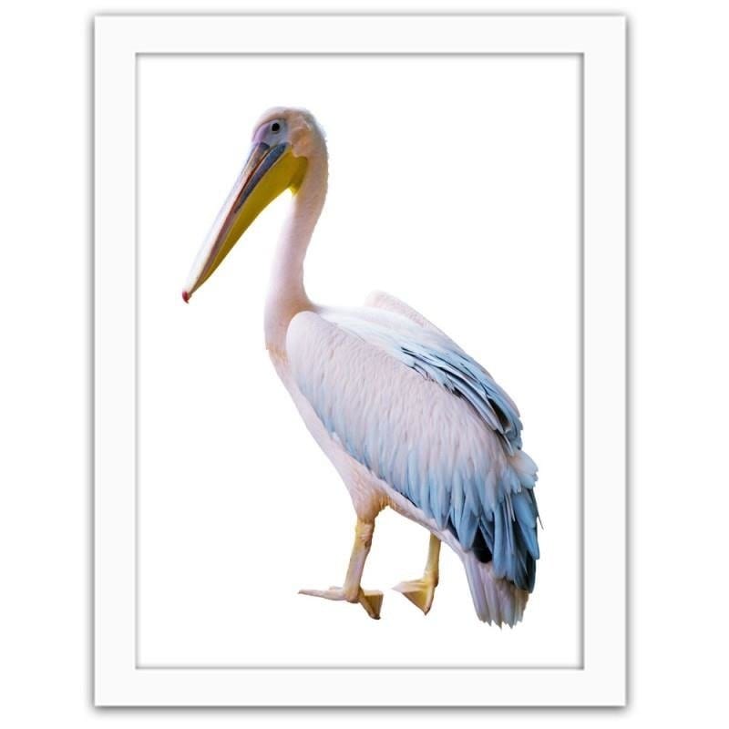 Glezna baltā rāmī - Pelican Home Trends DECO