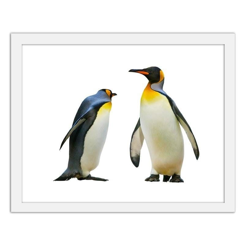 Glezna baltā rāmī - Penguins Home Trends DECO