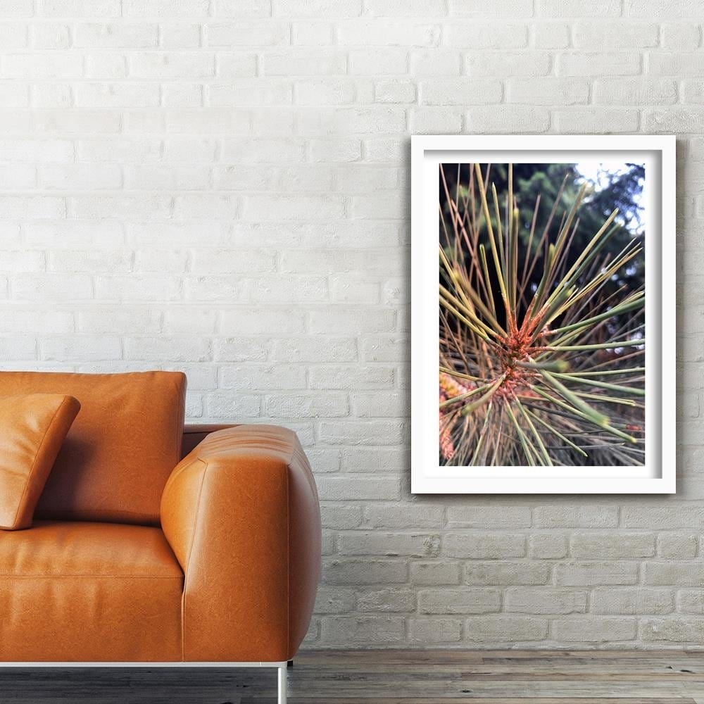 Glezna baltā rāmī - Pine Needles Home Trends DECO