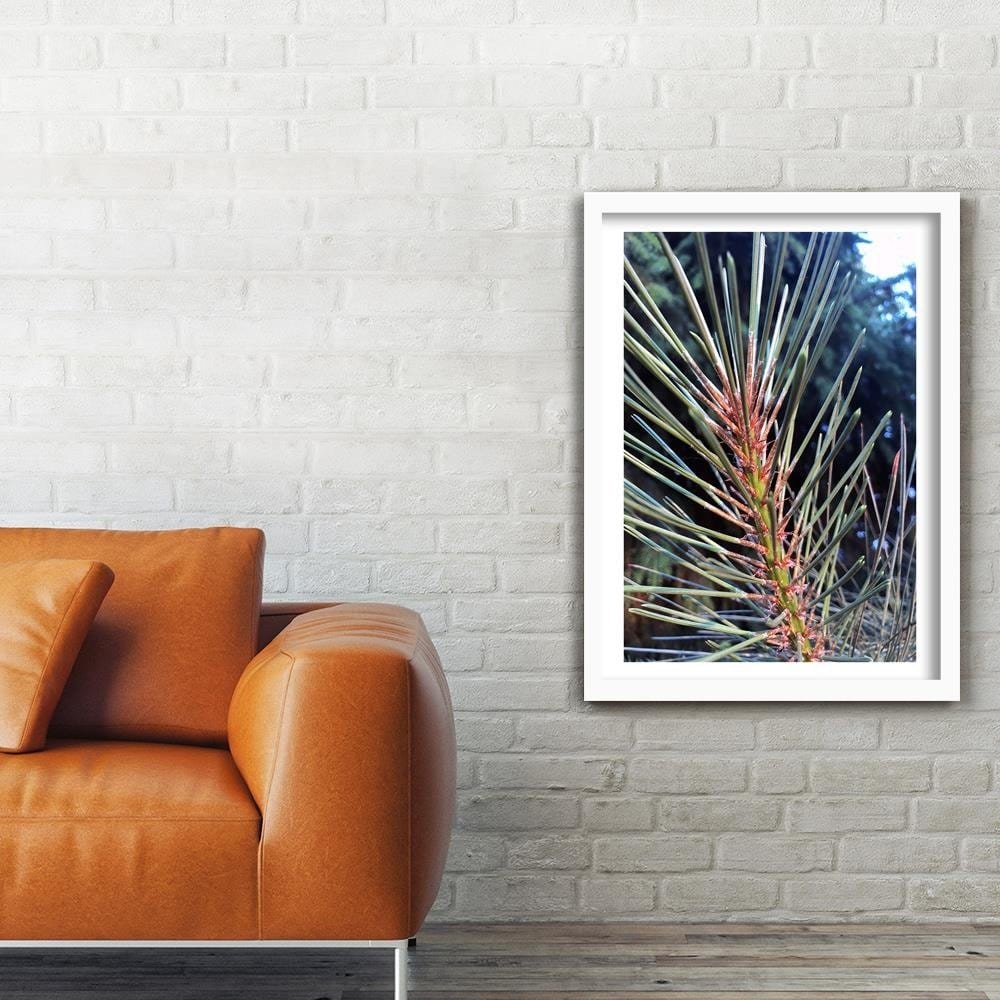 Glezna baltā rāmī - Pine Needles Home Trends DECO
