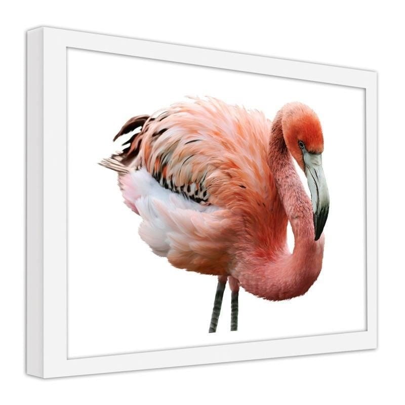 Glezna baltā rāmī - Pink flamingo Home Trends DECO