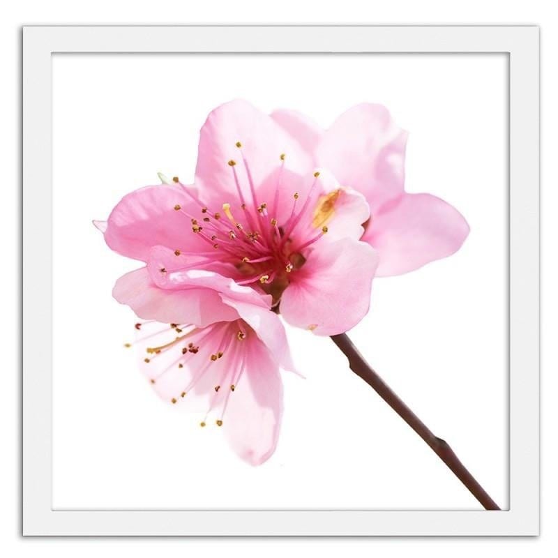 Glezna baltā rāmī - Pink flower 3 Home Trends DECO