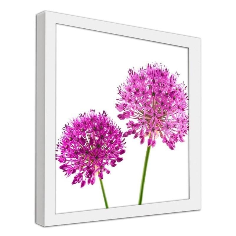 Glezna baltā rāmī - Pink garlic flower Home Trends DECO