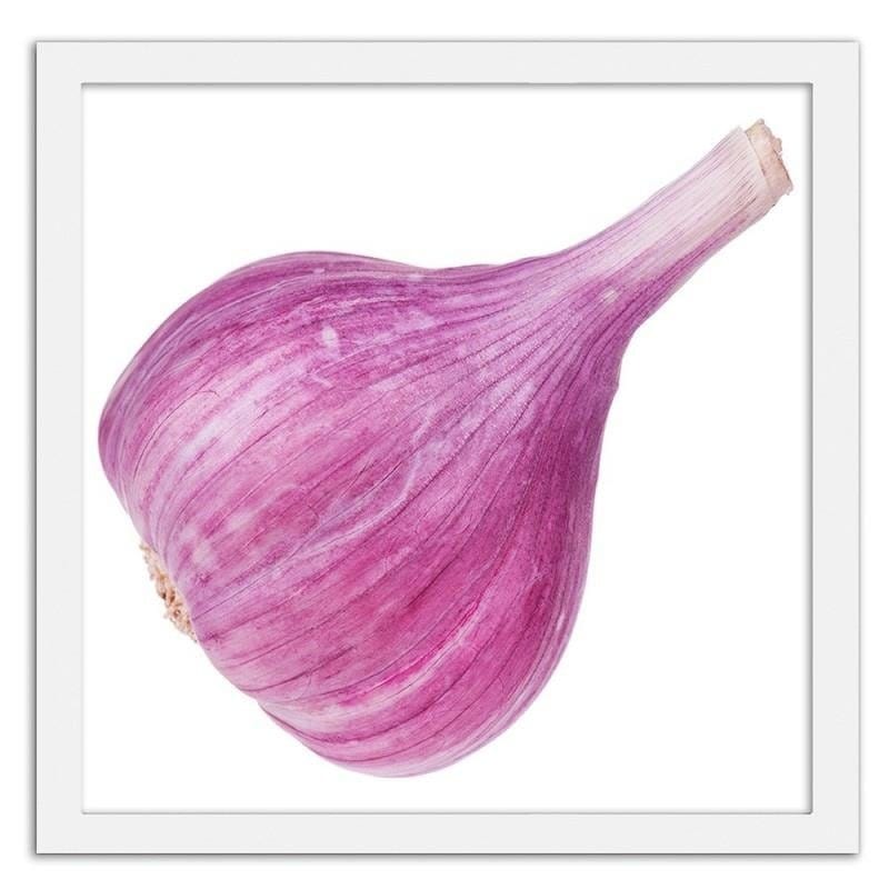 Glezna baltā rāmī - Pink garlic Home Trends DECO