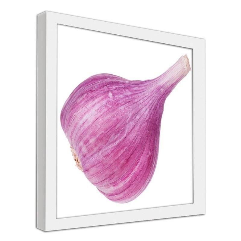 Glezna baltā rāmī - Pink garlic Home Trends DECO