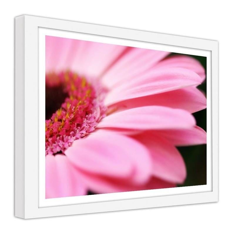 Glezna baltā rāmī - Pink gerbera Home Trends DECO