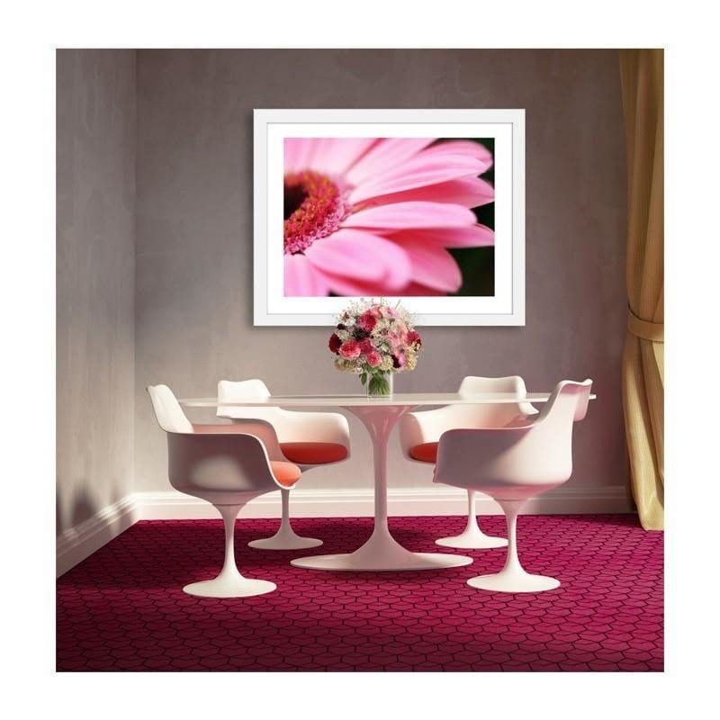 Glezna baltā rāmī - Pink gerbera Home Trends DECO