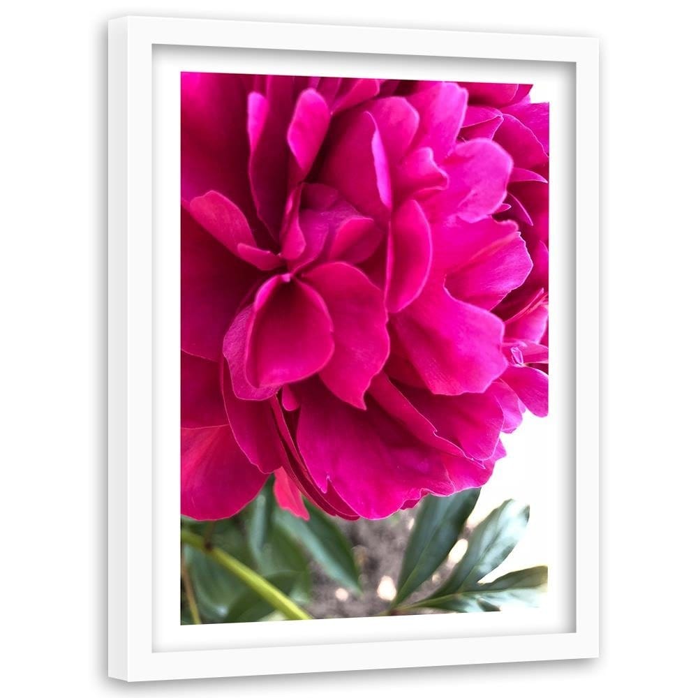 Glezna baltā rāmī - Pink Peony Home Trends DECO