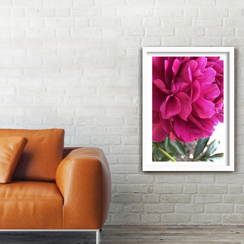 Glezna baltā rāmī - Pink Peony Home Trends DECO