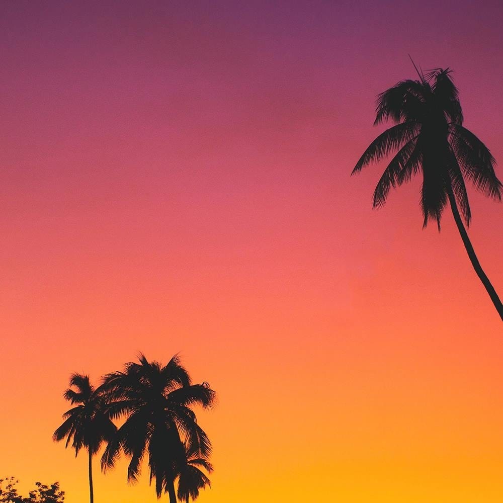 Glezna baltā rāmī - Pink Sky And Palm Trees Home Trends DECO