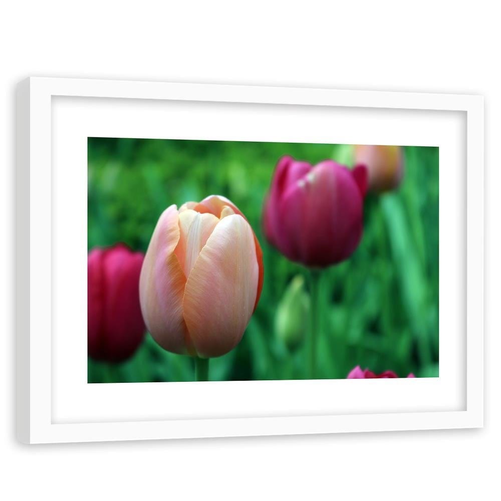 Glezna baltā rāmī - Pink Tulip Home Trends DECO