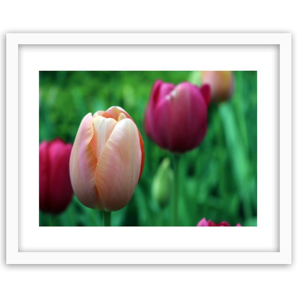 Glezna baltā rāmī - Pink Tulip Home Trends DECO