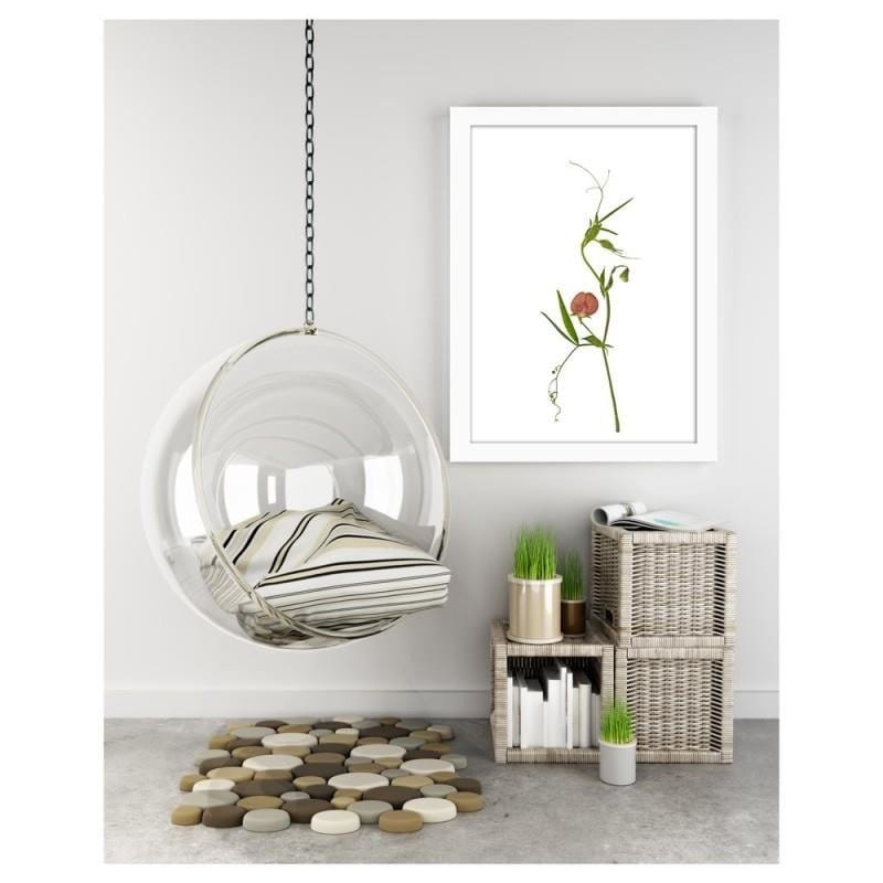 Glezna baltā rāmī - Plant Home Trends DECO