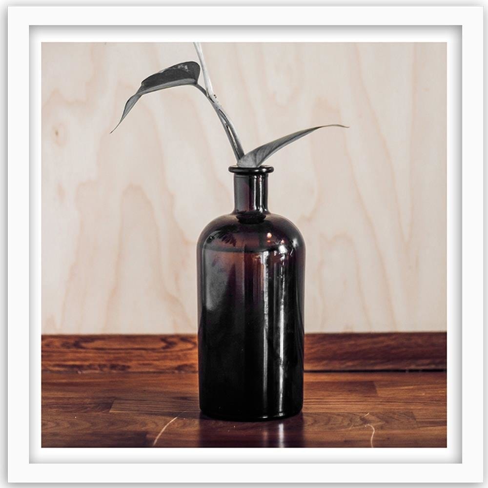 Glezna baltā rāmī - Plant In A Bottle Home Trends DECO