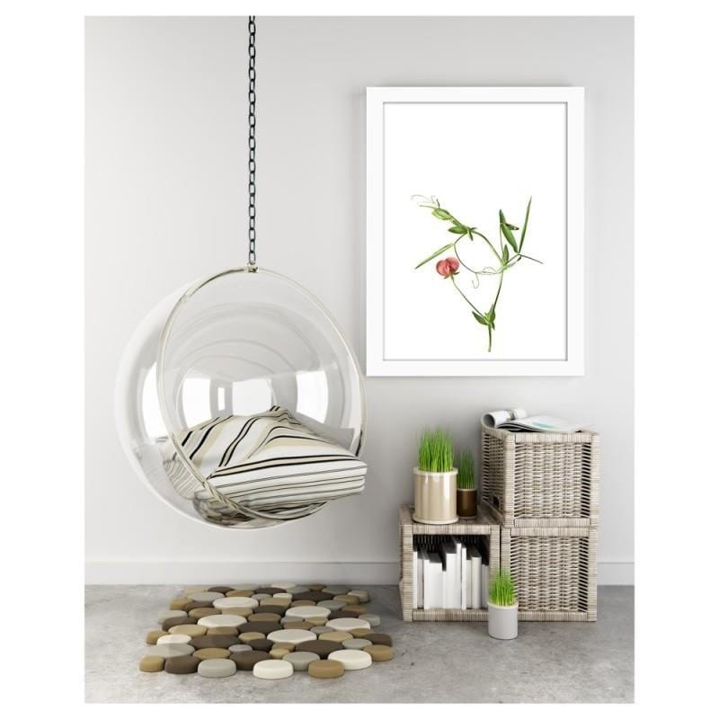 Glezna baltā rāmī - Plant on a white background Home Trends DECO