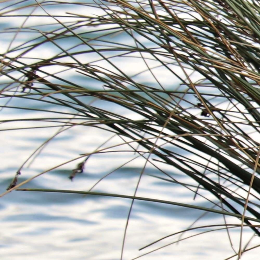 Glezna baltā rāmī - Platform At Sea Home Trends DECO