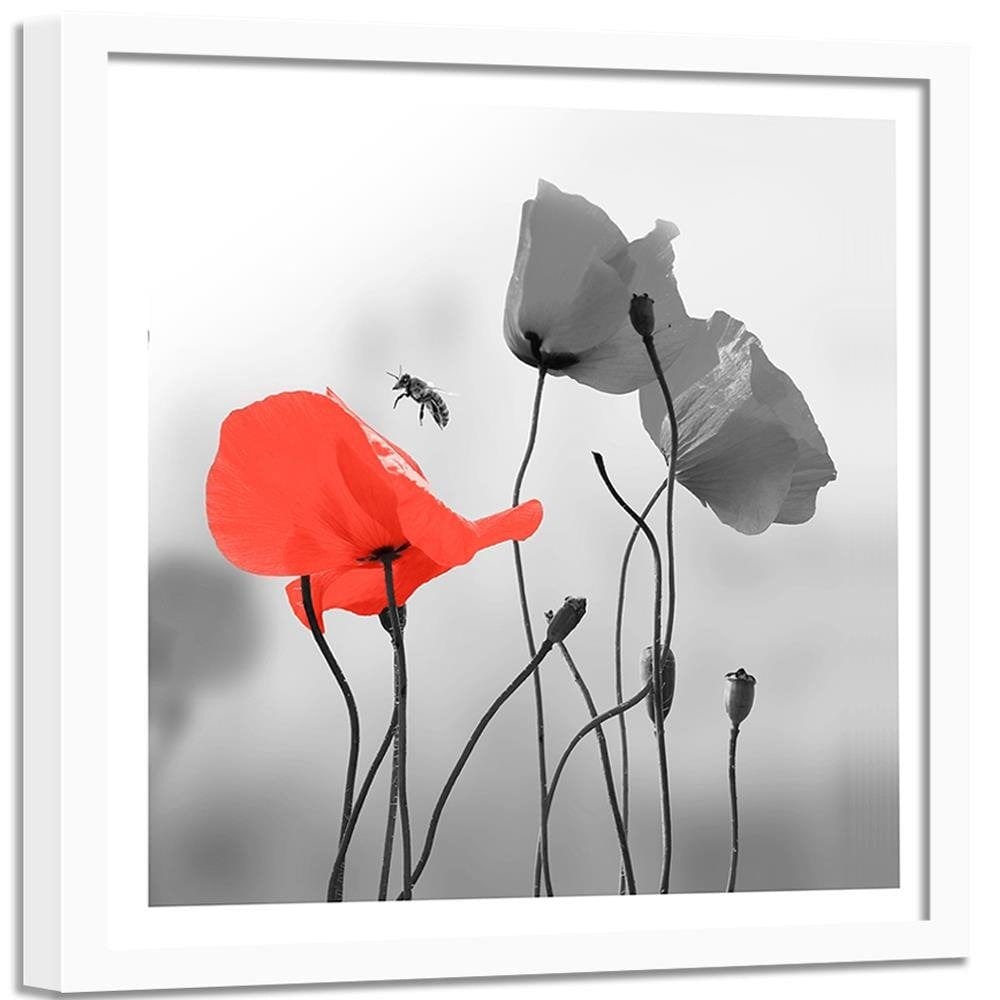 Glezna baltā rāmī - Poppies And Bee Home Trends DECO