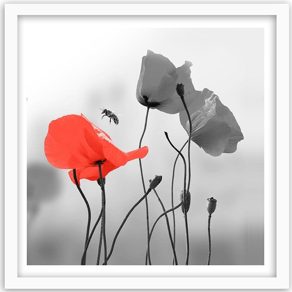 Glezna baltā rāmī - Poppies And Bee Home Trends DECO