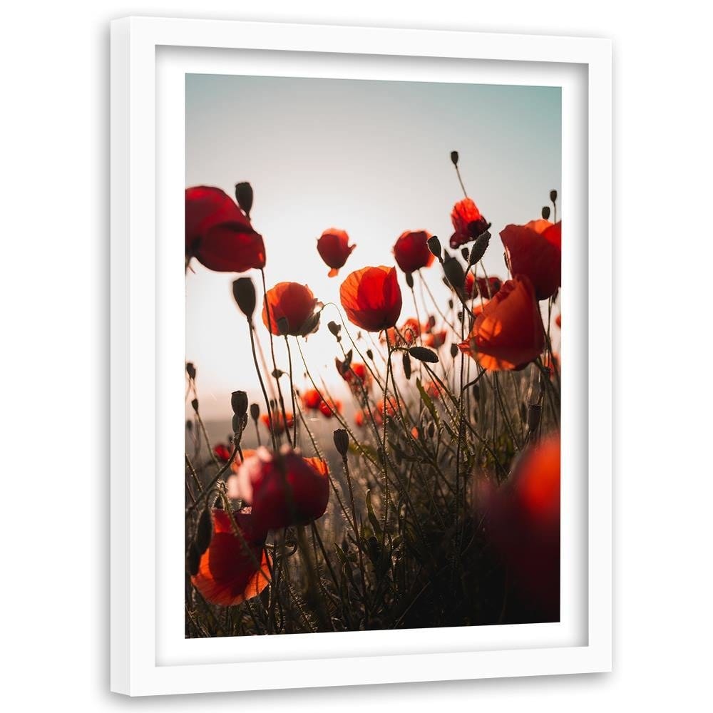 Glezna baltā rāmī - Poppies In Suns Home Trends DECO