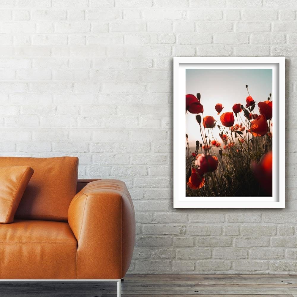Glezna baltā rāmī - Poppies In Suns  Home Trends DECO