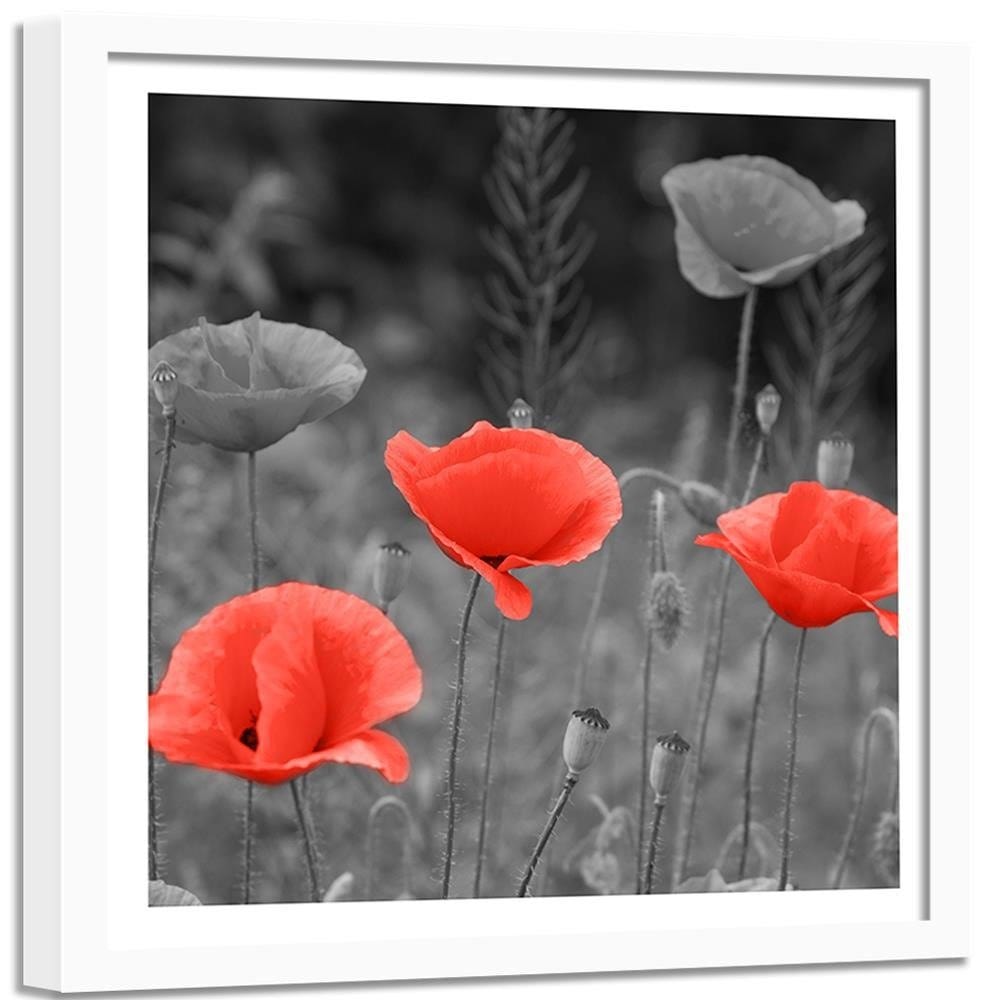 Glezna baltā rāmī - Poppies In The Meadow Home Trends DECO