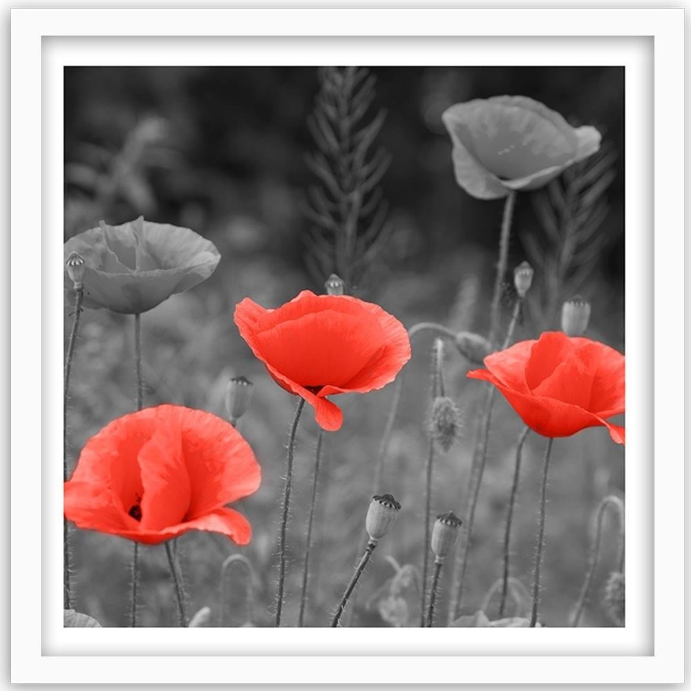 Glezna baltā rāmī - Poppies In The Meadow Home Trends DECO