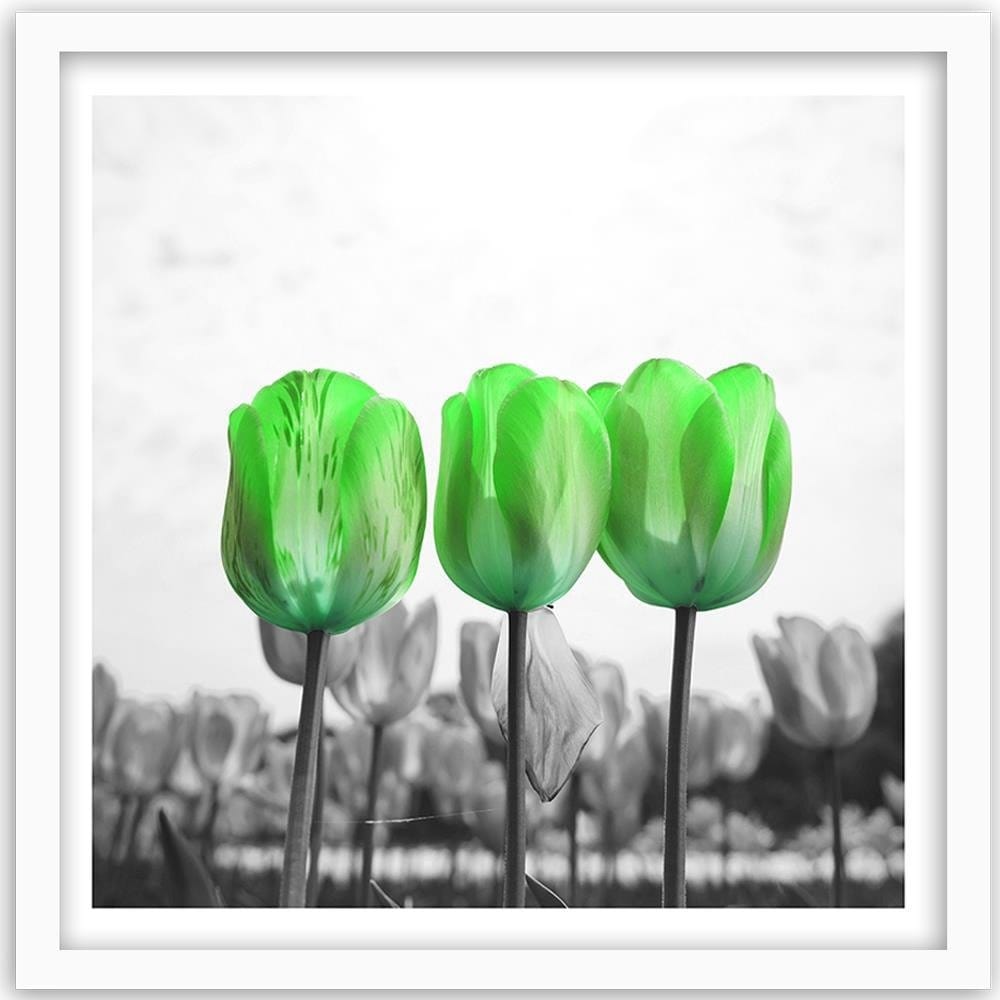 Glezna baltā rāmī - Poppies On Green Meadow Home Trends DECO
