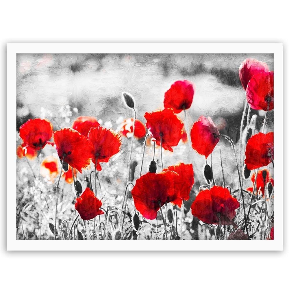 Glezna baltā rāmī - Poppy Flowers 2 Home Trends DECO