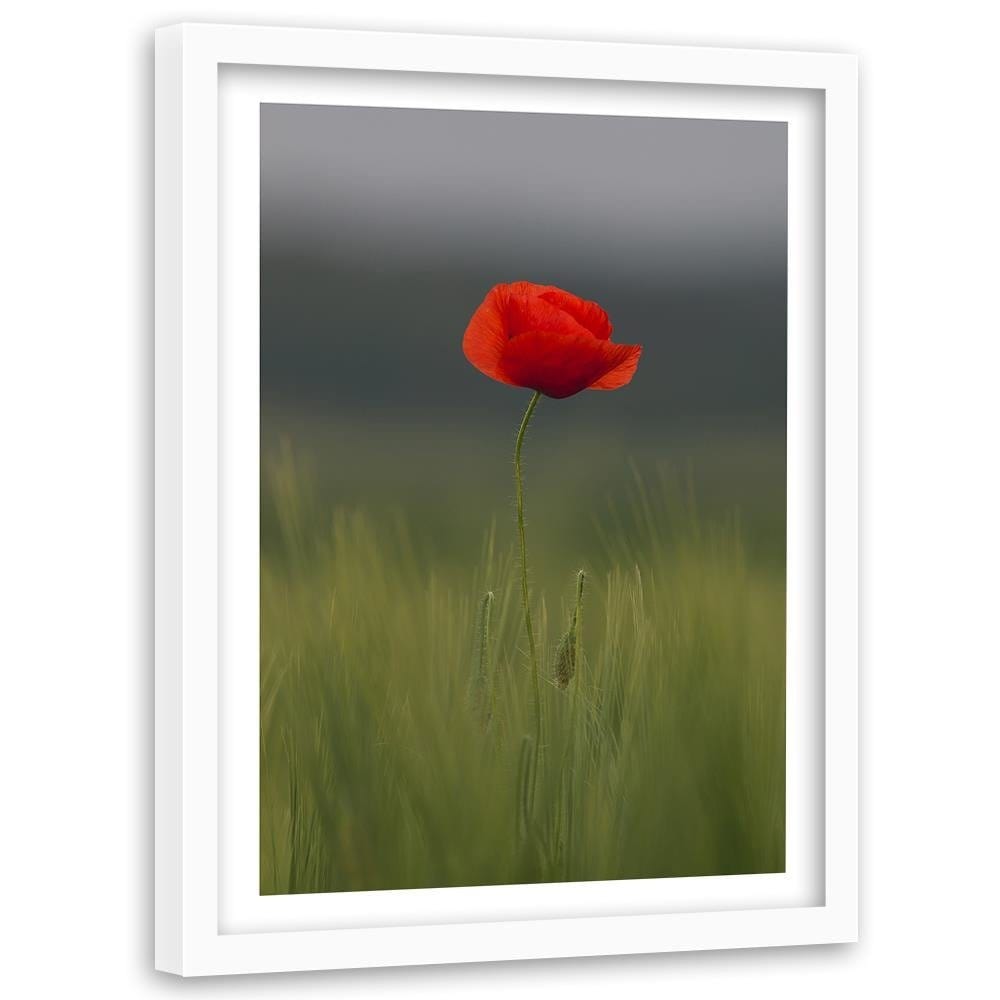 Glezna baltā rāmī - Poppy In Half Home Trends DECO