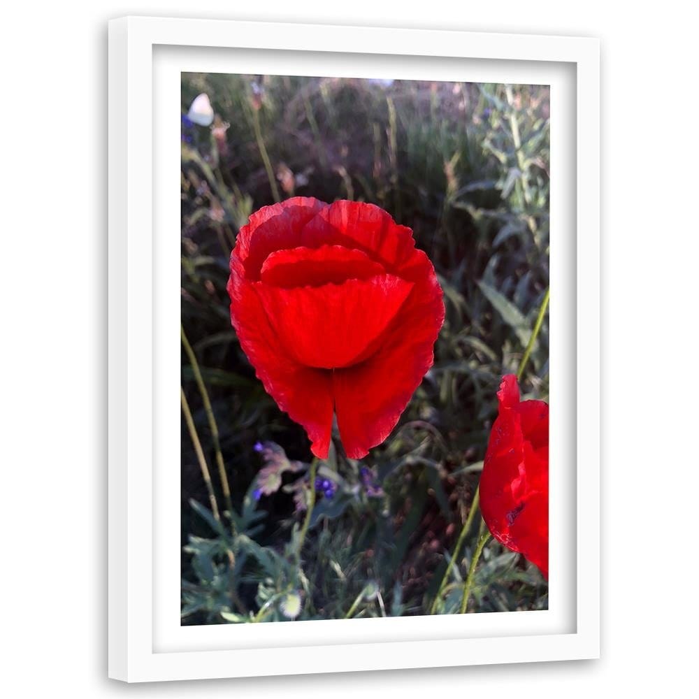 Glezna baltā rāmī - Poppy Petals Home Trends DECO