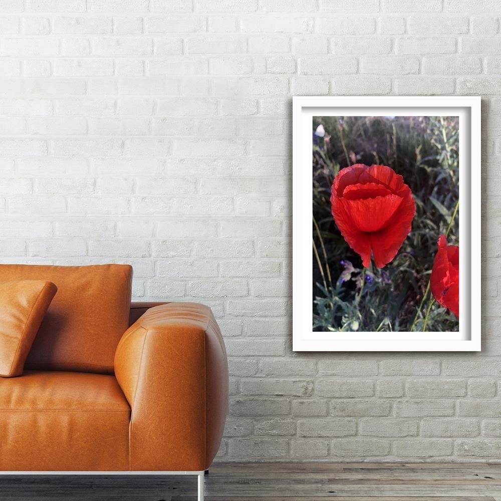 Glezna baltā rāmī - Poppy Petals Home Trends DECO