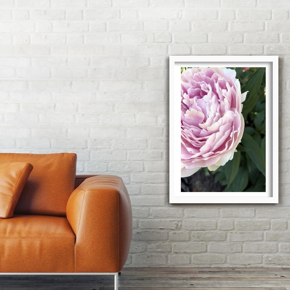 Glezna baltā rāmī - Pretty Pink Peony Home Trends DECO