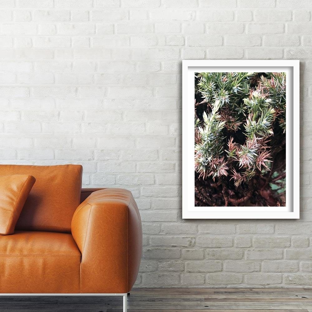 Glezna baltā rāmī - Prickly Shrub Home Trends DECO