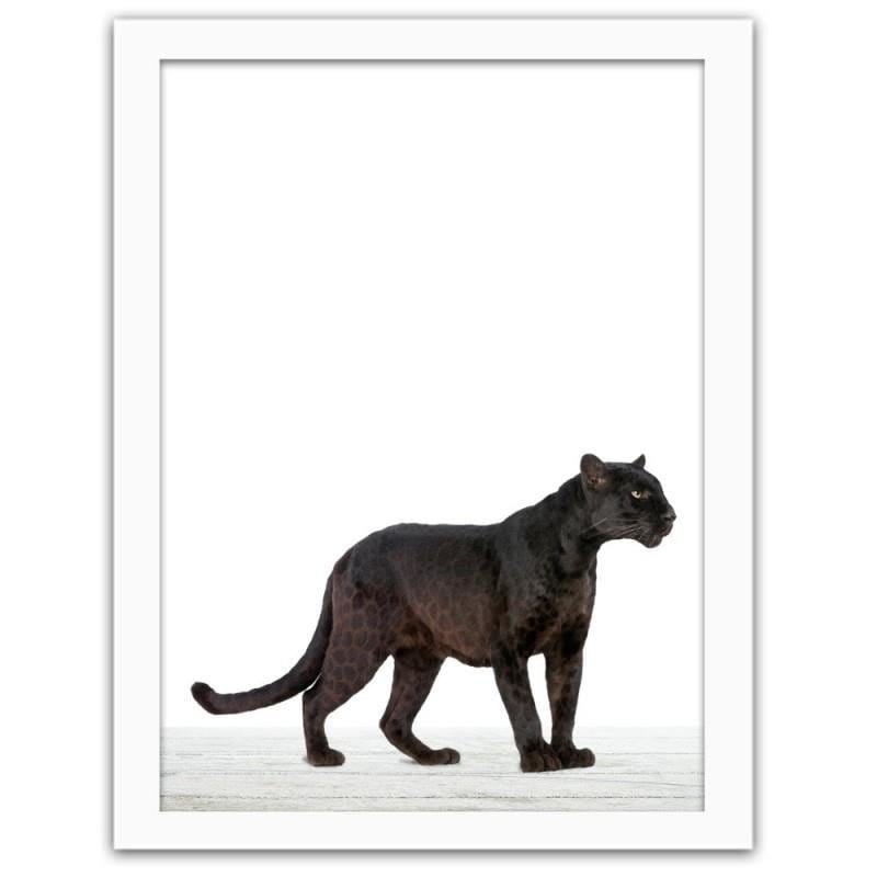 Glezna baltā rāmī - Puma Home Trends DECO