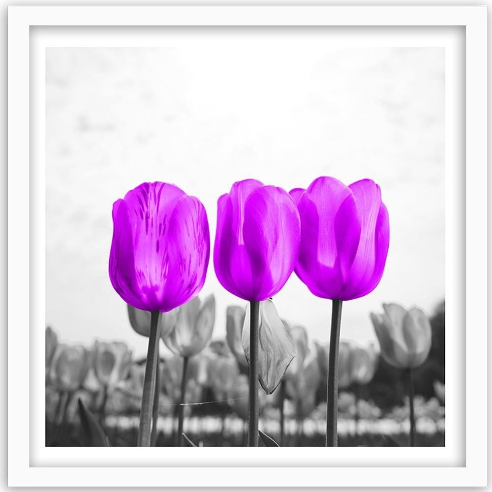 Glezna baltā rāmī - Purple Tulips Home Trends DECO