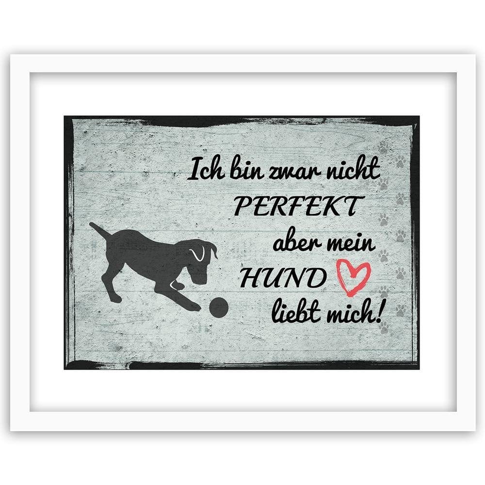 Glezna baltā rāmī - Quote Dog With Ball Home Trends DECO