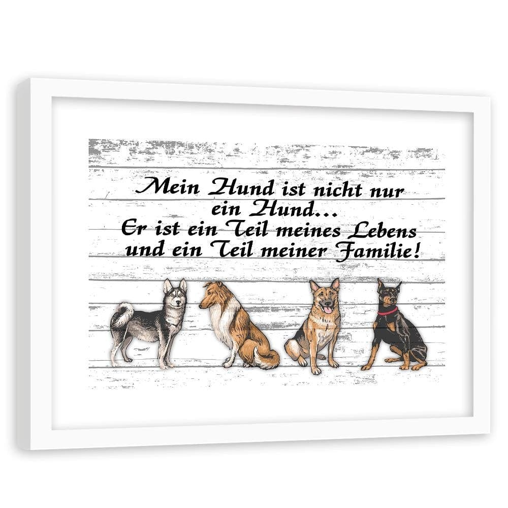 Glezna baltā rāmī - Quote Four Dogs Home Trends DECO