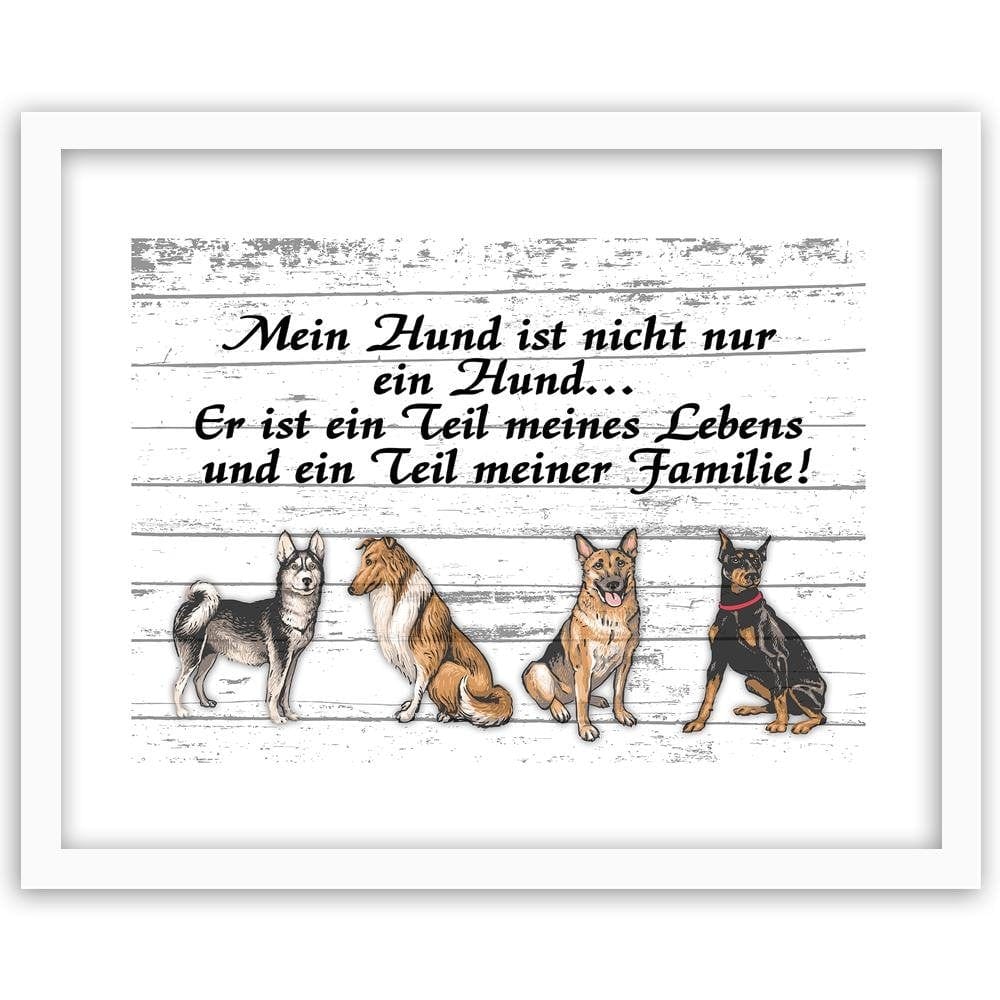 Glezna baltā rāmī - Quote Four Dogs Home Trends DECO