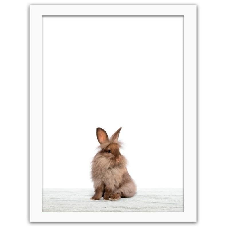 Glezna baltā rāmī - Rabbit 2 Home Trends DECO