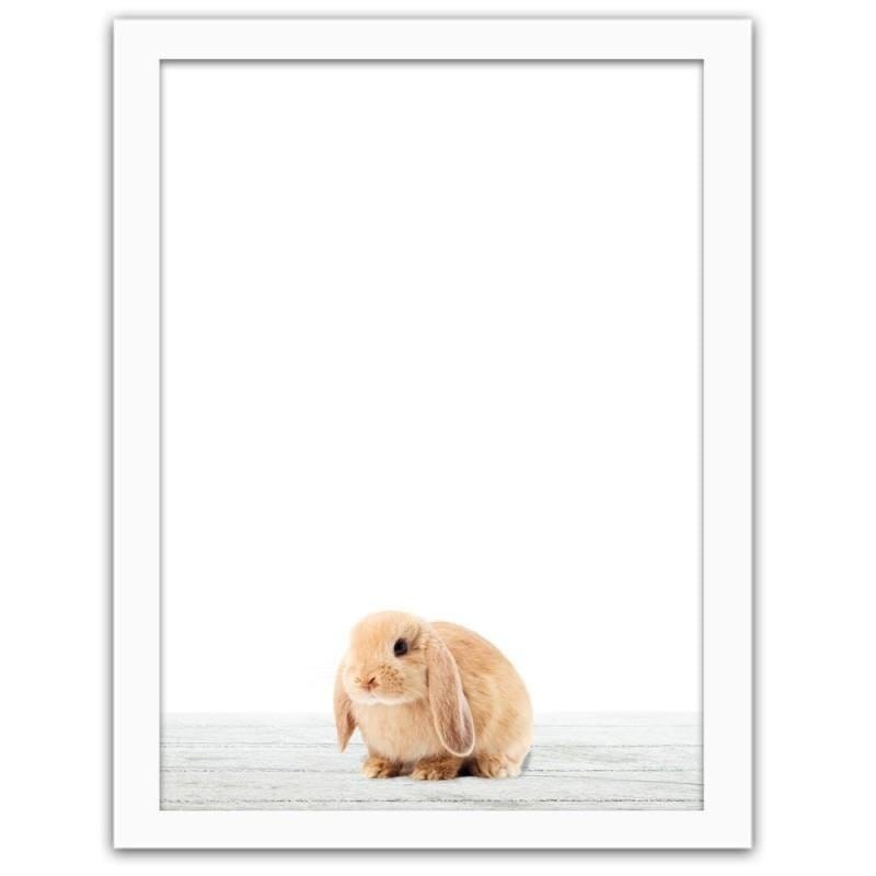 Glezna baltā rāmī - Rabbit Home Trends DECO