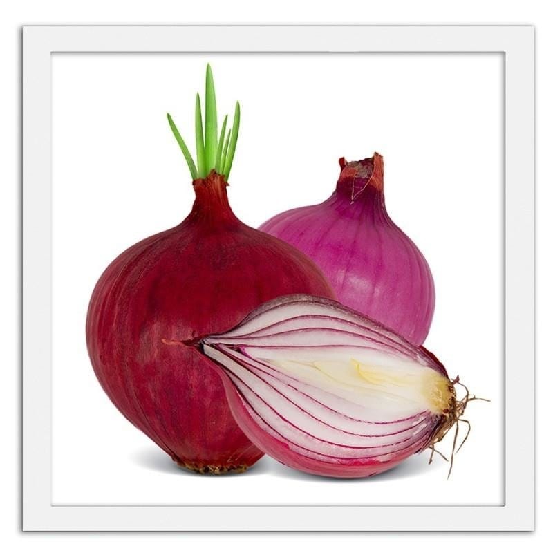 Glezna baltā rāmī - Red onions Home Trends DECO