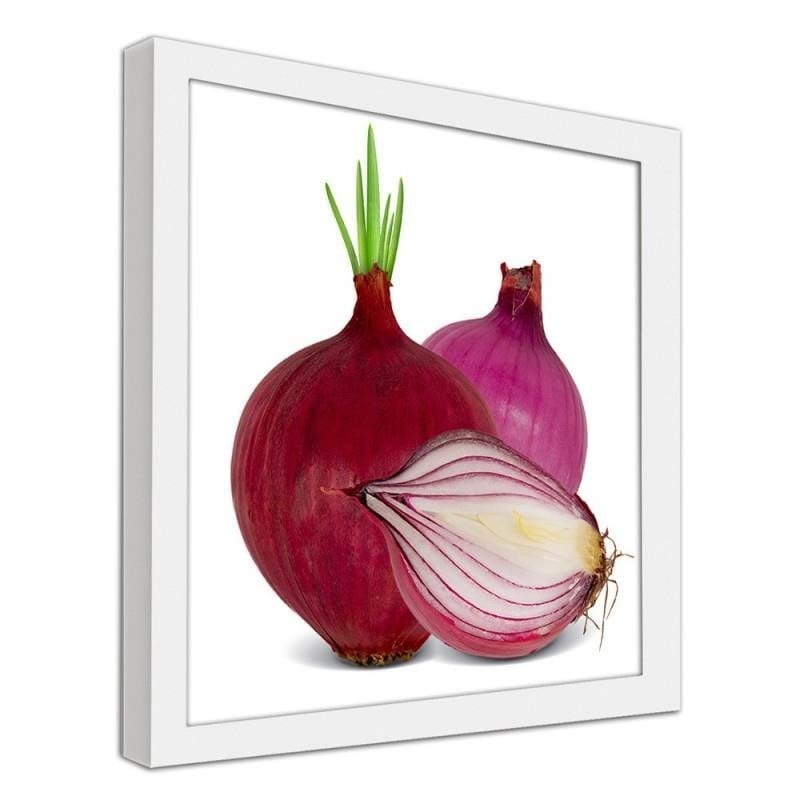 Glezna baltā rāmī - Red onions Home Trends DECO