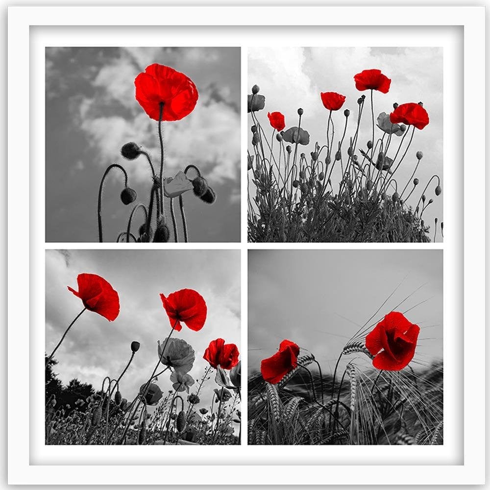 Glezna baltā rāmī - Red Poppies Home Trends DECO