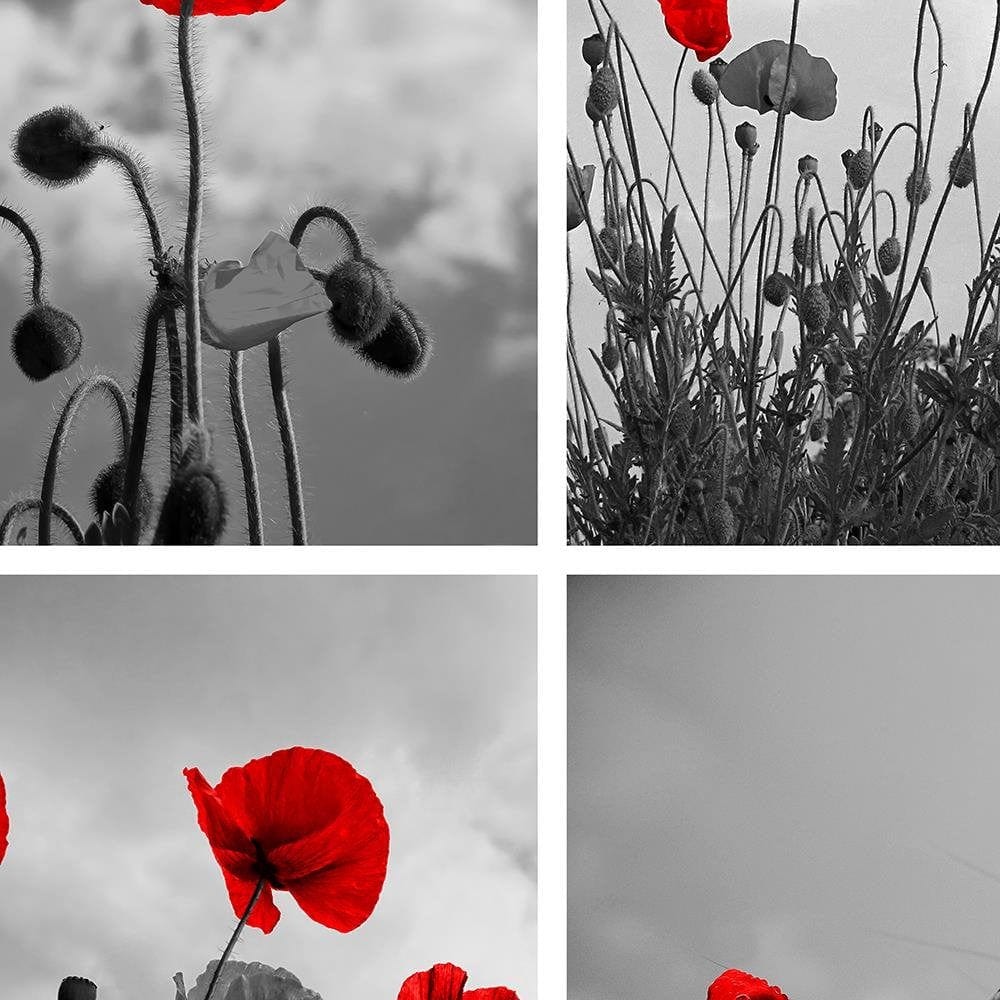 Glezna baltā rāmī - Red Poppies Home Trends DECO