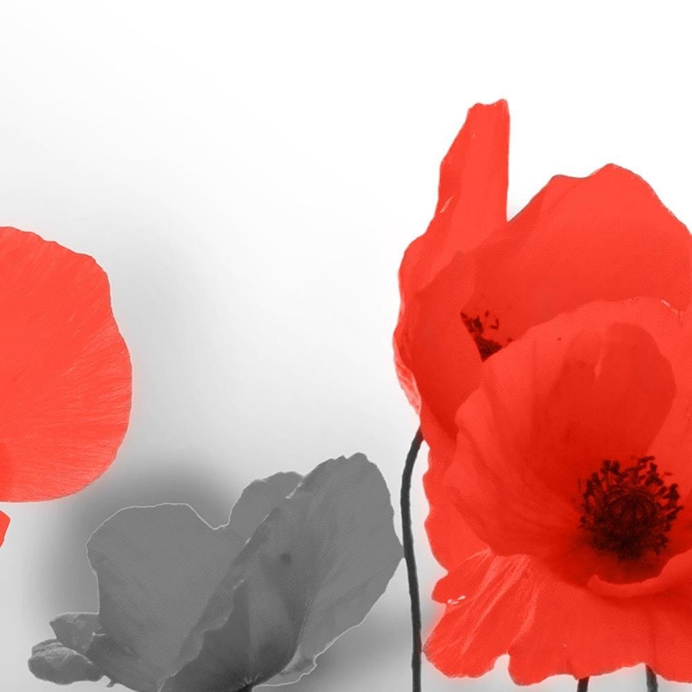 Glezna baltā rāmī - Red Poppies In Gray Home Trends DECO