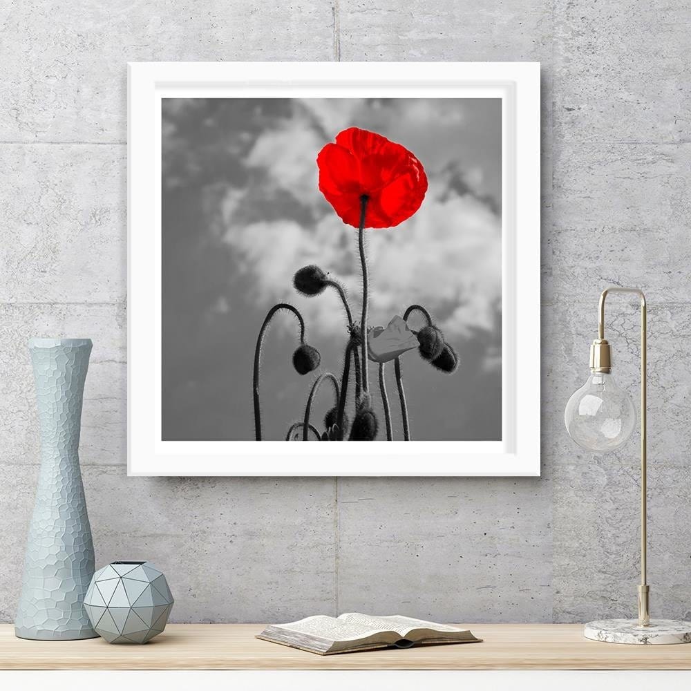 Glezna baltā rāmī - Red Poppy Home Trends DECO