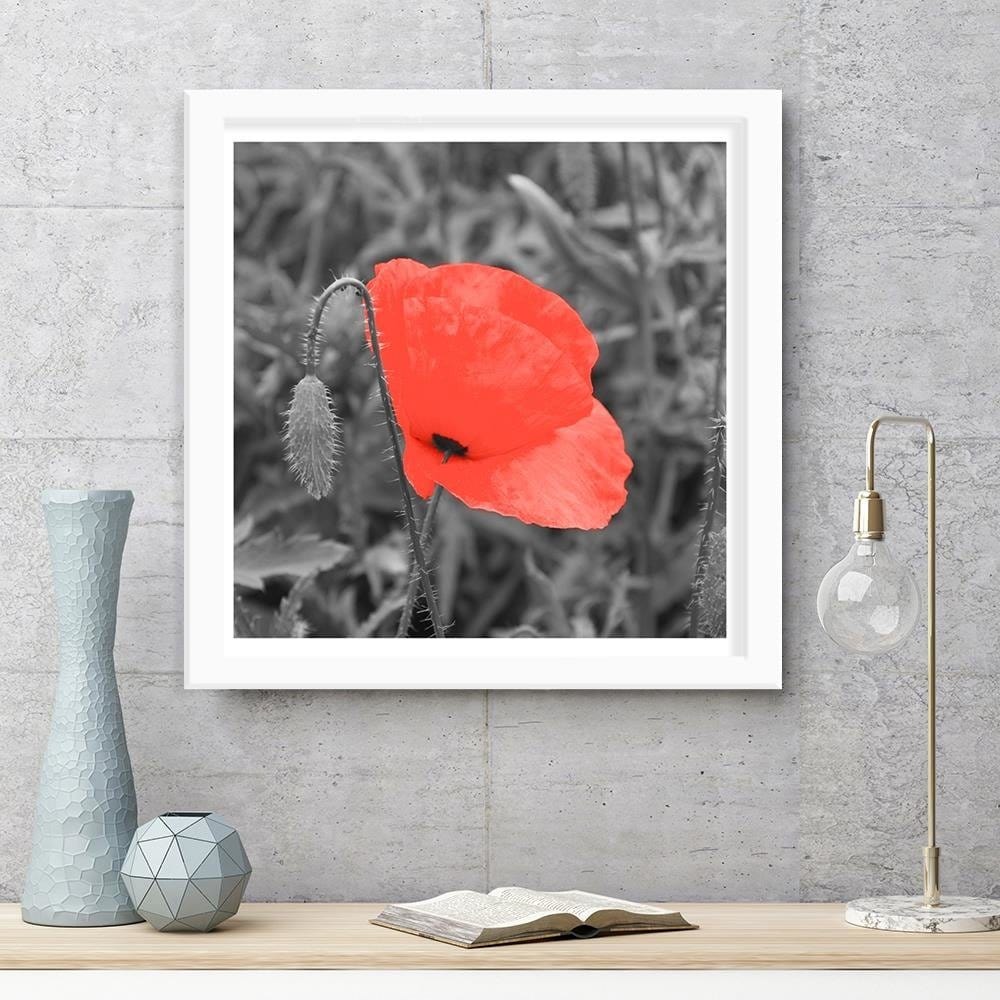 Glezna baltā rāmī - Red Poppy In Gray Home Trends DECO