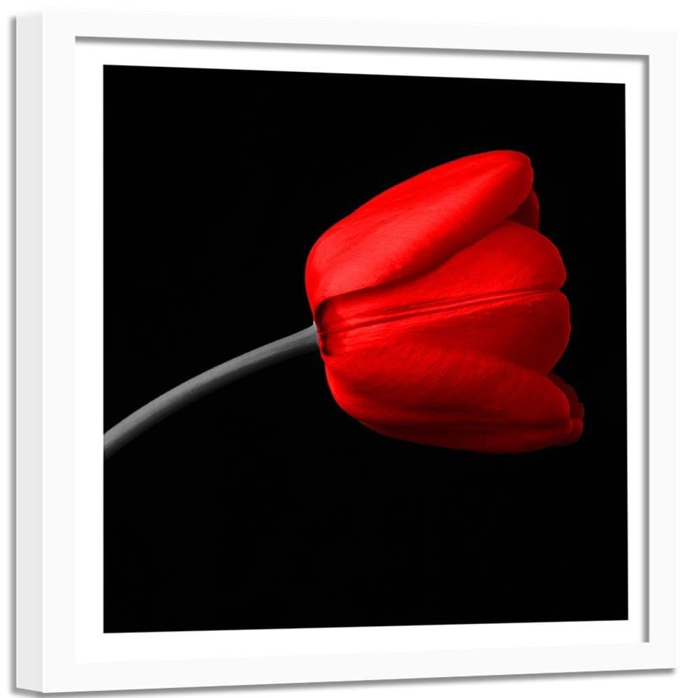 Glezna baltā rāmī - Red Tulip Home Trends DECO